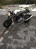 Acheter une moto Occasions NORTON Dominator 961 (naked)