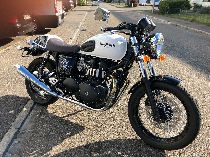 Motorrad kaufen Occasion TRIUMPH Thruxton 900 (retro)