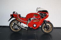 Motorrad kaufen Oldtimer EGLI KAWASAKI EGli KAWASAKI