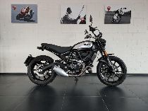 Motorrad kaufen Occasion DUCATI 803 Scrambler (retro)