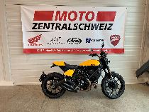 Motorrad kaufen Occasion DUCATI 803 Scrambler (retro)