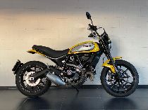 Motorrad kaufen Occasion DUCATI 803 Scrambler (retro)