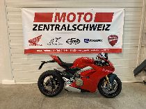 Motorrad kaufen Occasion DUCATI 1103 Panigale V4 (sport)