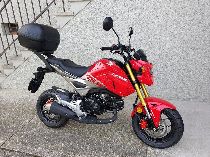 Motorrad kaufen Neufahrzeug HONDA MSX 125 (naked)