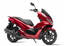 Motorrad kaufen Neufahrzeug HONDA PCX WW 125 A (roller)