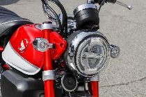 Motorrad kaufen Neufahrzeug HONDA Z 125 MA Monkey (naked)