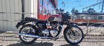 Motorrad kaufen Occasion TRIUMPH Bonneville T120 1200 (retro)