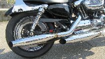 Motorrad kaufen Occasion HARLEY-DAVIDSON XL 1200 C Sportster Custom (custom)