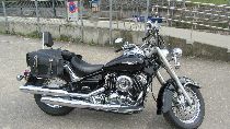 Motorrad kaufen Occasion YAMAHA XVS 650 A Drag Star (custom)
