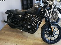 Motorrad kaufen Occasion HARLEY-DAVIDSON XL 883 N Iron ABS (custom)