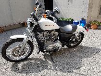 Motorrad kaufen Occasion HARLEY-DAVIDSON XL 883 L Sportster Low (custom)