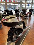 Motorrad kaufen Neufahrzeug HONDA SH 125 AD (roller)