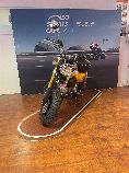 Motorrad kaufen Neufahrzeug HONDA Z 125 MA Monkey (naked)