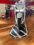 Motorrad kaufen Neufahrzeug HONDA SH 350 A (roller)