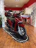 Motorrad kaufen Neufahrzeug HONDA SH 125 AD (roller)