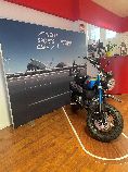 Motorrad kaufen Neufahrzeug HONDA Z 125 MA Monkey (naked)