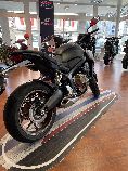Motorrad kaufen Neufahrzeug HONDA CB 125 R (naked)