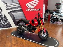 Motorrad kaufen Neufahrzeug HONDA MSX 125 (naked)