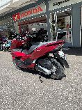 Motorrad kaufen Vorführmodell HONDA PCX WW 125 A (roller)