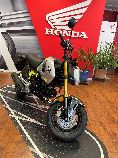 Motorrad kaufen Neufahrzeug HONDA MSX 125 (naked)