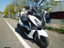 Motorrad kaufen Neufahrzeug SYM Cruisym 300 (roller)