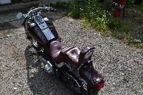Motorrad kaufen Occasion HARLEY-DAVIDSON FXST 1340 Softail Standard (custom)