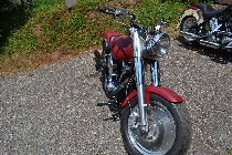 Motorrad kaufen Occasion HARLEY-DAVIDSON FXSTC 1340 Softail Custom (custom)