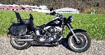 Motorrad kaufen Occasion HARLEY-DAVIDSON FLSTFB 1584 Softail Fat Boy Special (custom)