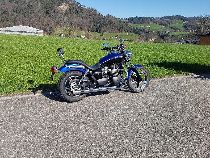 Motorrad kaufen Occasion TRIUMPH Speedmaster 900 (custom)