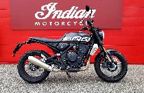 Motorrad kaufen Occasion BRIXTON Crossfire 500 (retro)