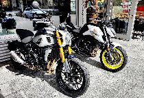 Motorrad kaufen Neufahrzeug CF MOTO 700 CL-X (naked)