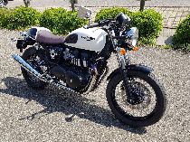 Motorrad kaufen Occasion TRIUMPH Thruxton 900 (retro)
