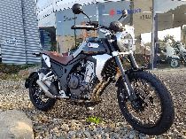 Acheter une moto Occasions COLOVE 500F Scrambler (retro)