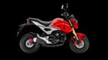 Motorrad kaufen Neufahrzeug HONDA MSX 125 (naked)