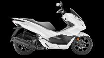 Motorrad kaufen Neufahrzeug HONDA PCX WW 125 A (roller)