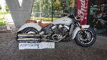 Acheter une moto neuve INDIAN Scout (custom)