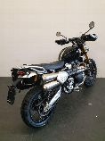 Motorrad kaufen Occasion TRIUMPH Scrambler 1200 XE (retro)