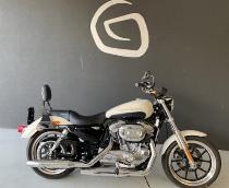Motorrad kaufen Occasion HARLEY-DAVIDSON XL 883 L Sportster Low