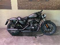Motorrad kaufen Occasion HARLEY-DAVIDSON XL 883 N Iron ABS