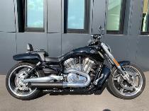 Motorrad kaufen Occasion HARLEY-DAVIDSON VRSCF 1250 V-Rod Muscle ABS