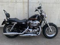 Motorrad kaufen Occasion HARLEY-DAVIDSON XL 1200 C Sportster Custom
