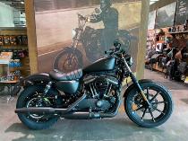 Motorrad kaufen Neufahrzeug HARLEY-DAVIDSON XL 883 N Sport. Iron ABS