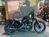Motorrad kaufen Neufahrzeug HARLEY-DAVIDSON XL 883 N Sport. Iron ABS
