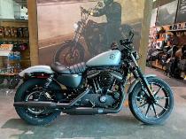 Motorrad kaufen Neufahrzeug HARLEY-DAVIDSON XL 883 N Sport. Iron ABS