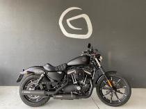 Motorrad kaufen Vorführmodell HARLEY-DAVIDSON XL 883 N Sport. Iron ABS