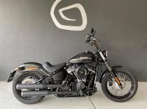 Motorrad kaufen Vorführmodell HARLEY-DAVIDSON FXBB Street Bob 107 ABS