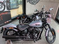 Motorrad kaufen Neufahrzeug HARLEY-DAVIDSON FXBB Street Bob 107 ABS (custom)