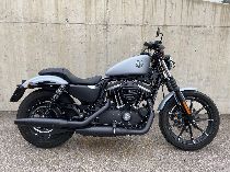Motorrad kaufen Occasion HARLEY-DAVIDSON XL 883 N Sportster Iron (custom)