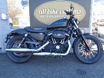 Motorrad kaufen Occasion HARLEY-DAVIDSON XL 883 N Iron (custom)