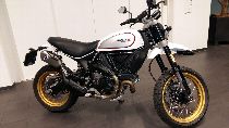 Motorrad kaufen Vorführmodell DUCATI 803 Scrambler Desert Sled (retro)